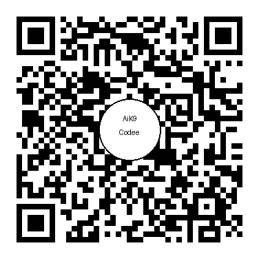 Open Codee chat for DigiFlyer